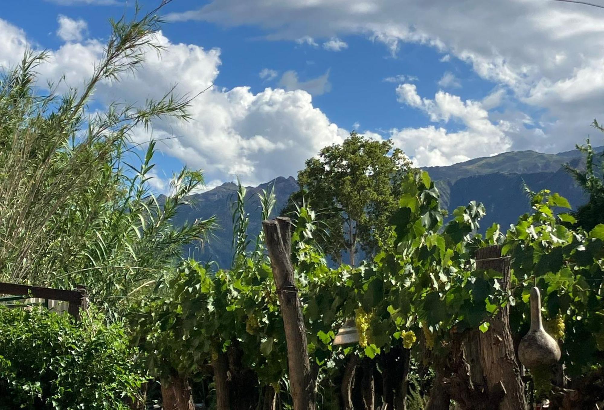 Casa Prana Estudio De Yoga Cafayate Exterior foto